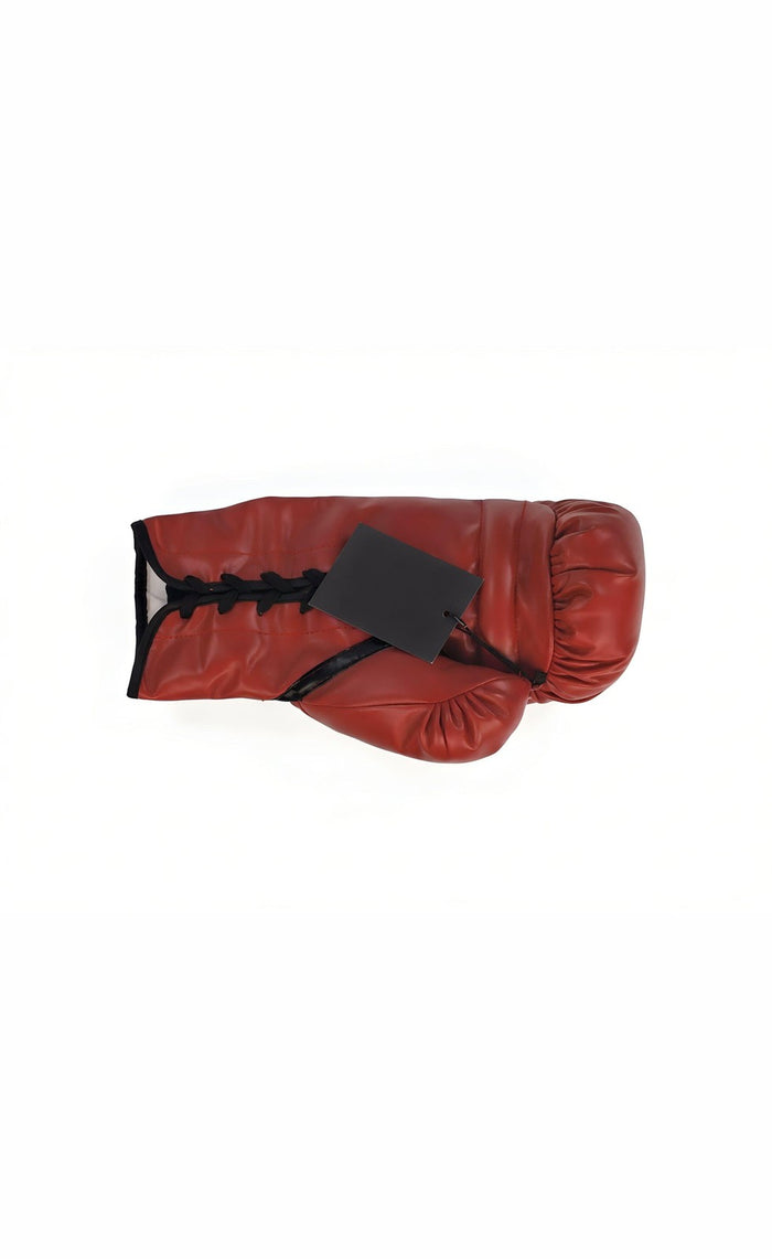 Boxing & MMA