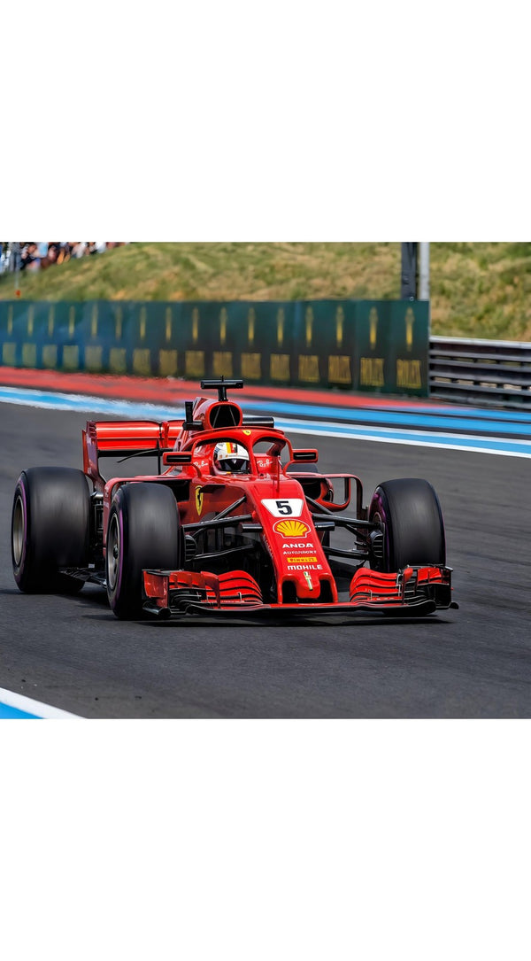 Sebastian Vettel Ferrari Signed 12x8 Photo F1 Champion Collectible Item