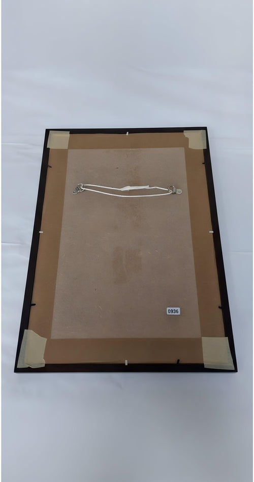 روبرتو كارلوس موقع 8×11 من البرازيل المدفع PSA - مع إطار