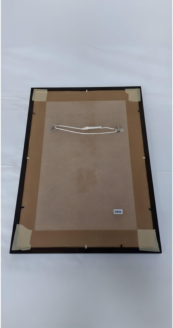Roberto Carlos Signed 8x11 From Brazil The Cannon PSA - With Frame