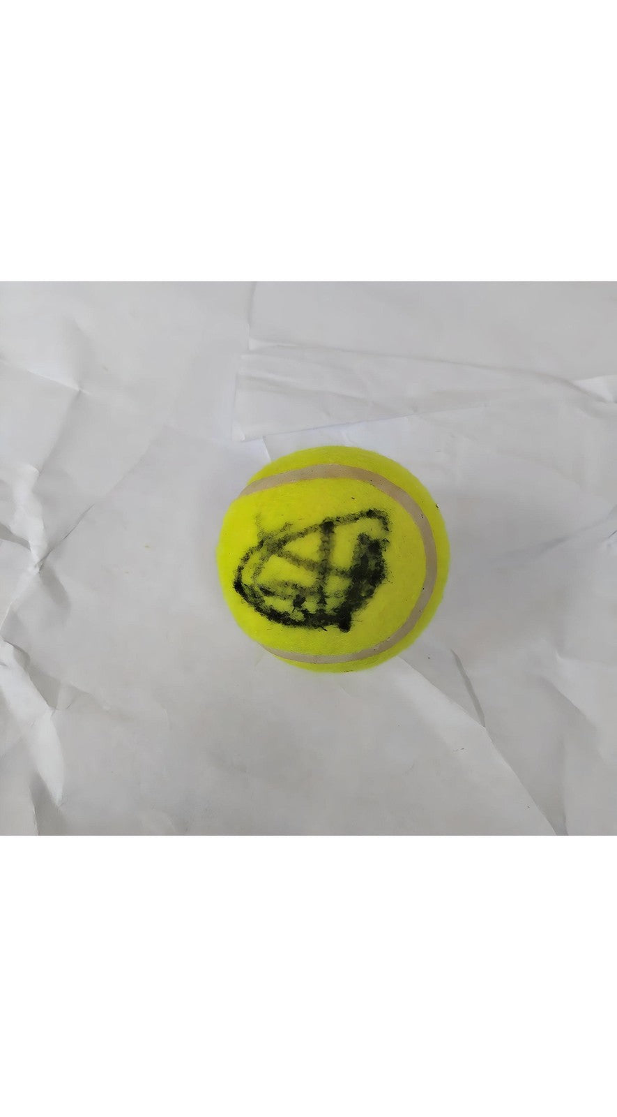 Novak Djokovic Signed Tennis Item GOAT Edition 24-Time Grand Slam Champion
