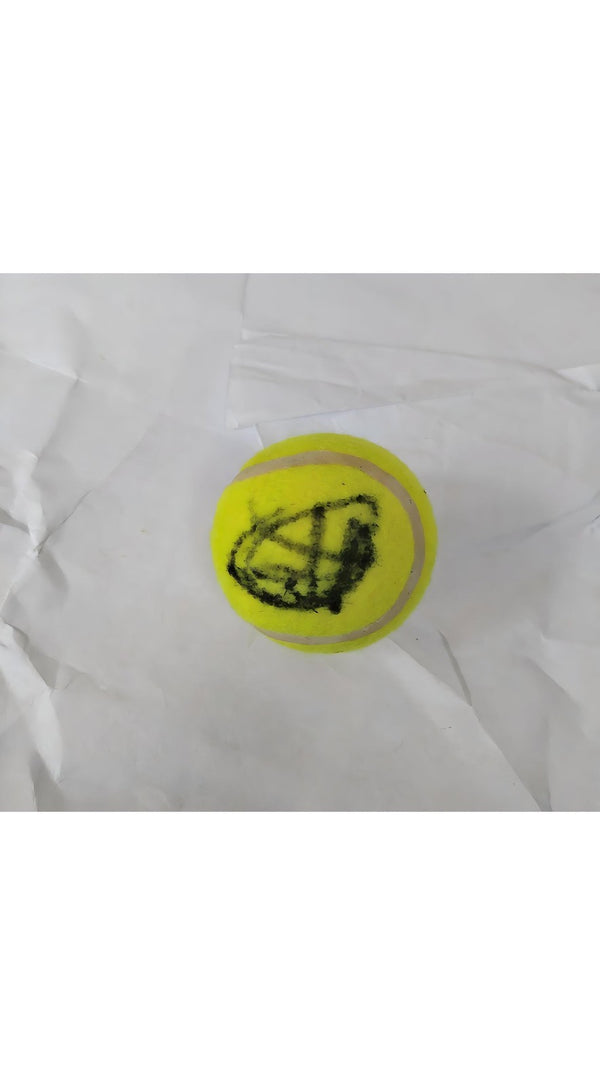 Novak Djokovic Signed Tennis Item GOAT Edition 24-Time Grand Slam Champion